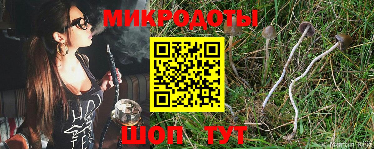 Галлюциногенные грибы Cubensis Холмск